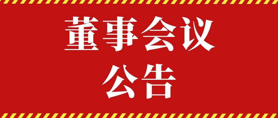918博天堂.第一届董事会第八次会议决议公告